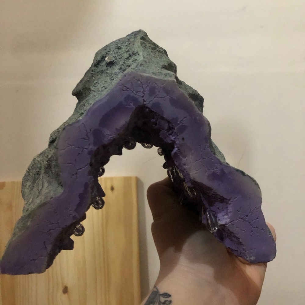 Lizard Tunnel